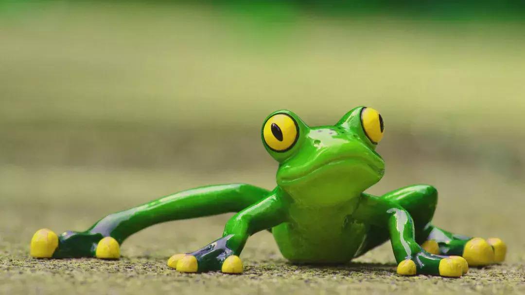 感觉有点快？羞羞的问题可以在线咨询啦！