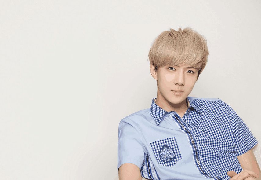 吴世勋舞台落泪视频,吴世勋应援成员们