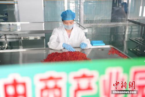 电商新机遇2023,电商新机遇篇