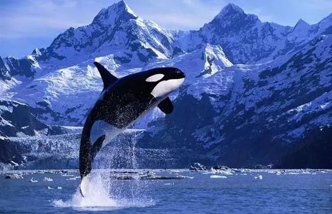 妈妈我还不想睡觉歌词字幕,妈妈我还活着