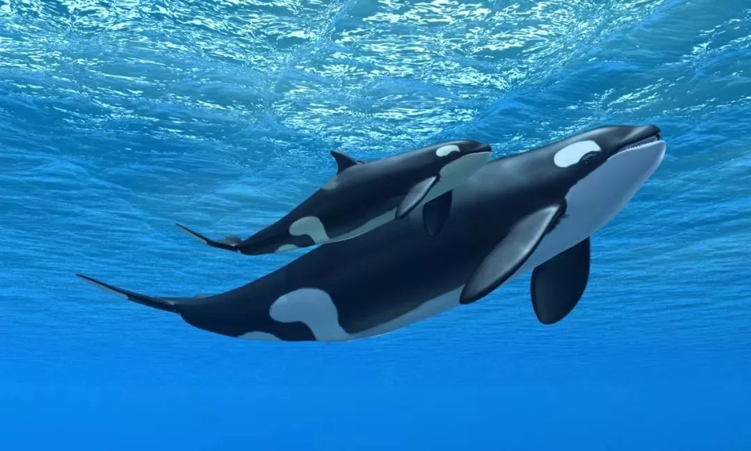 妈妈我还不想睡觉歌词字幕,妈妈我还活着