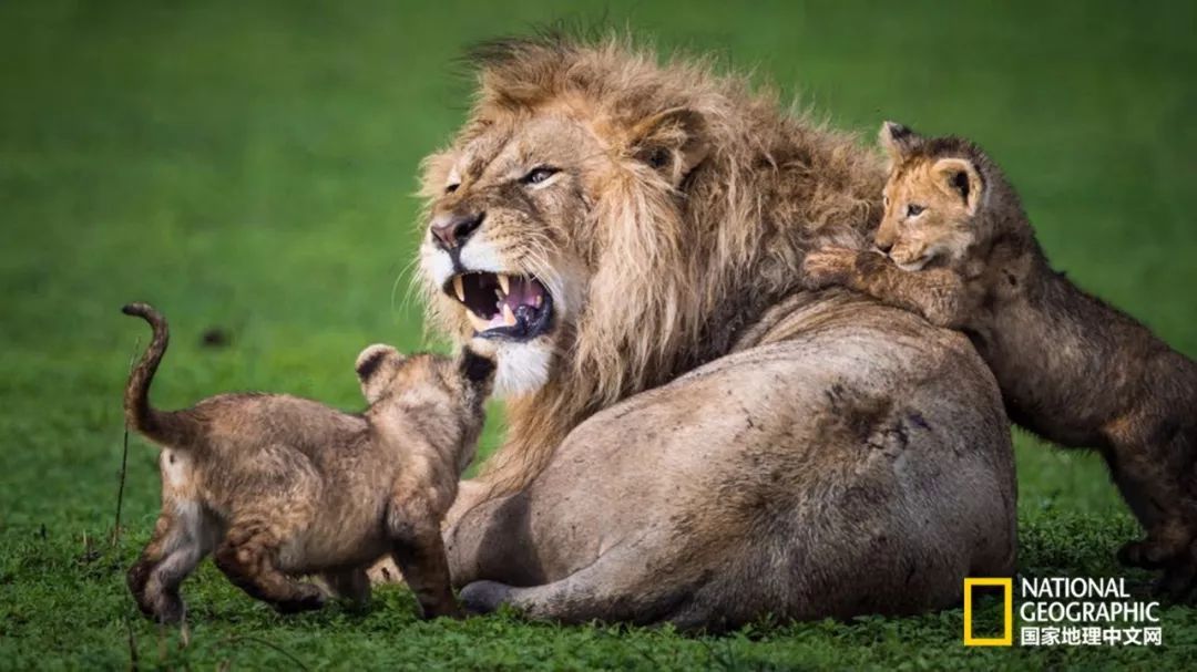 你忙着过七夕,而我用25张图纪念我们共度的这个夏天|夏末特供