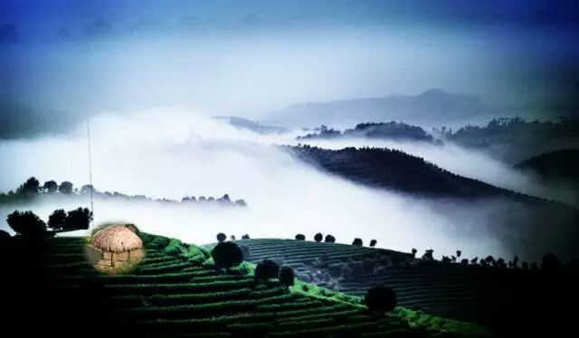 怎样打造爆款民宿,民宿怎么打造网红