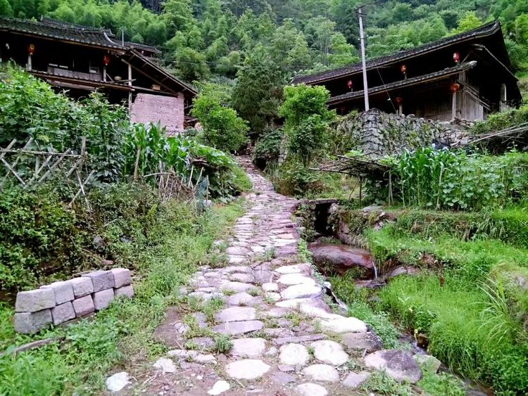 怎样打造爆款民宿,民宿怎么打造网红