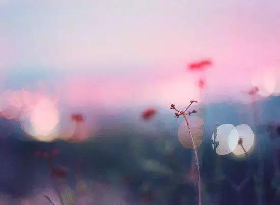 人生短暂还有多少芳华,人生有多少遗憾就有多少芳华