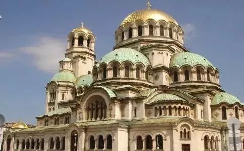 最还原的月野兔,月野兔真实照片