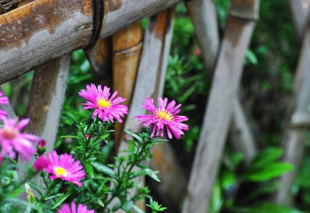 命苦的人要怎么做,走出心灵的低谷感悟