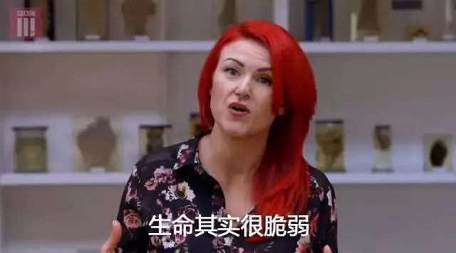 BBC解剖了一个200斤的女胖子，看完瑟瑟发抖！