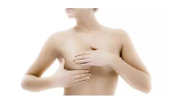 乳房基本知识普及,乳房小秘密科普