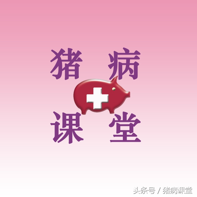 鸡冠苍白、无法站立、持续性下痢、昏睡以及全身败血症怎么治