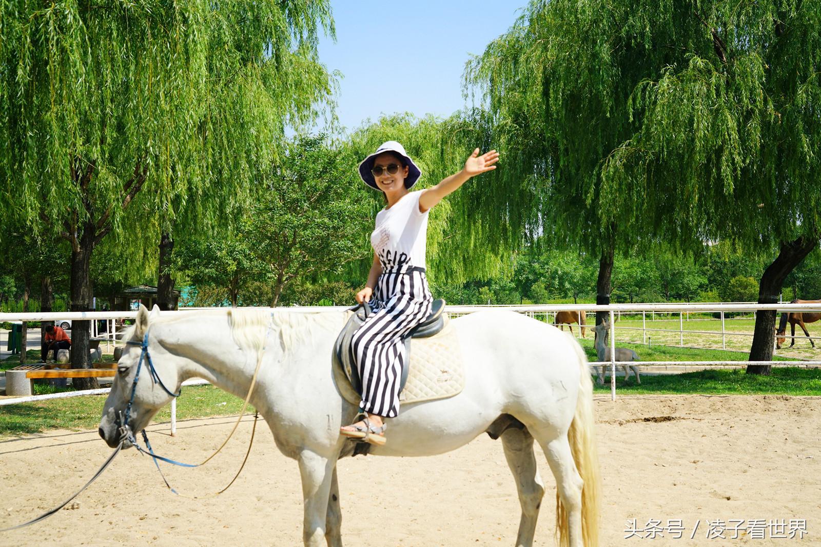 爱上东海湾的美,尽享那片无人打扰的海