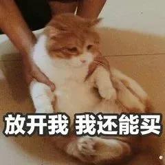 杨幂枫叶红口红平价替代,好用的口红替代品有哪些