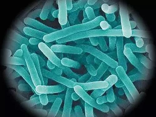 早产和吃西瓜有关系吗,孕妇吃了块冰镇西瓜有事吗