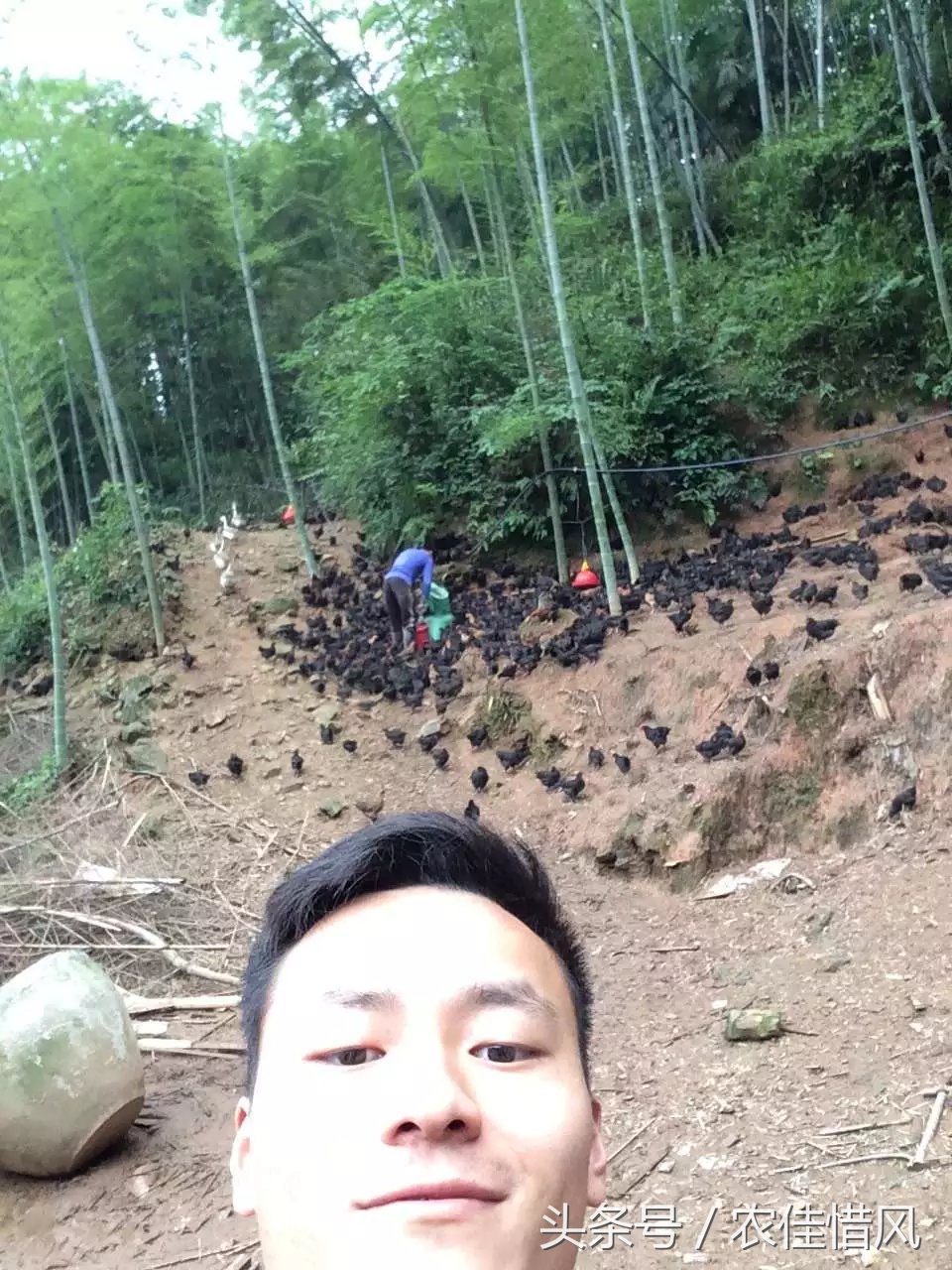 农村小伙子养鸡年收入240万你信吗,90后女大学生养鸡年销售3000万