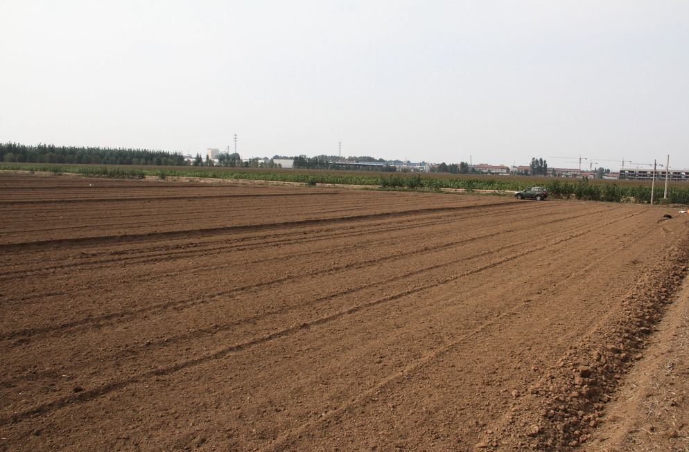 2023农业农村部补贴项目,中央2023年农业农村补贴政策