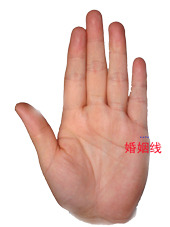 命运掌握在自己手中手势,命运掌握在自己手中全集