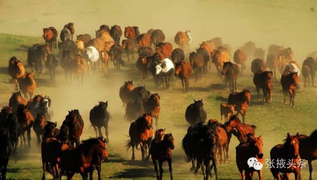 来张掖赏美景,去张掖看丹霞