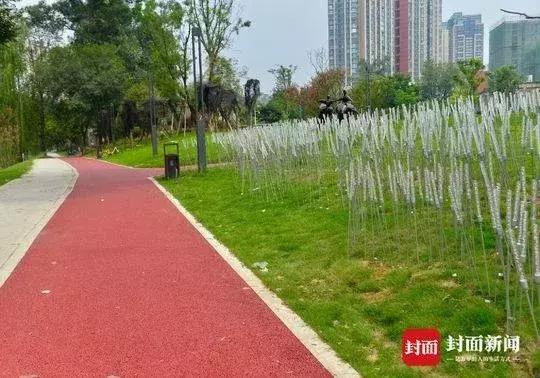 “小心机绿道”、2万盏芦苇灯……沙河城市公园月底开放，美skr人！