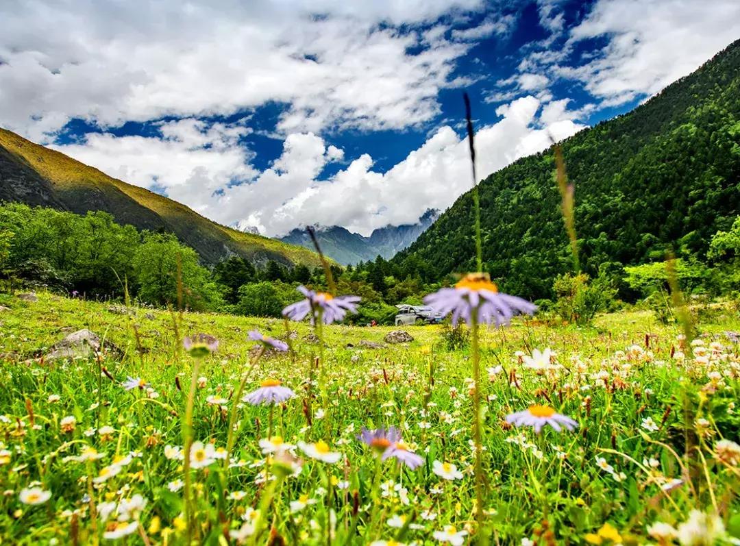 川西旅游若尔盖大草原,川西旅游攻略若尔盖草原