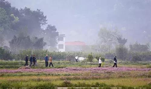 非农户口土地确权最新政策,非农户口农村房屋确权能否登记