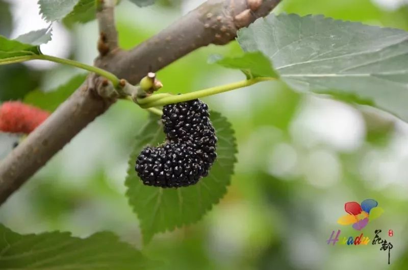 无套路旅游,无套路观看全集