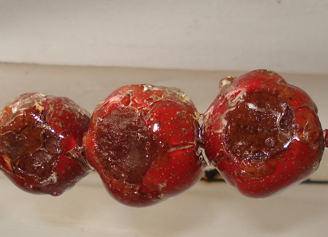 教我们做冰糖葫芦,冰糖葫芦制作方法都放什么添加剂