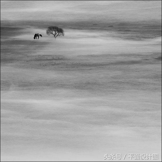 运用大小对比法“一招出牛片”