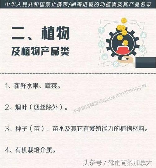 出国回来带东西有没有限制,出国回来不能带什么