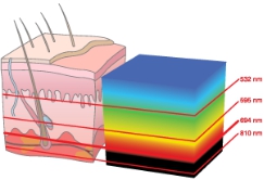 飞利浦脱毛仪br1681与1684区别,飞利浦bri956