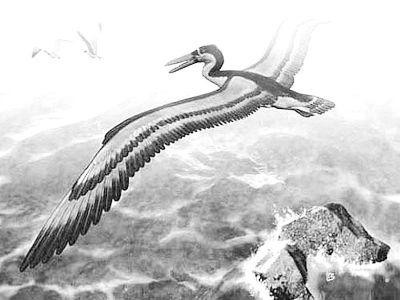 地球史前十大奇葩动物,地球远古动物大全