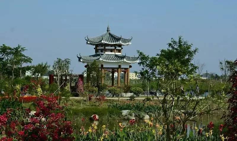 广州值得去的湿地公园,广州湿地公园拍摄