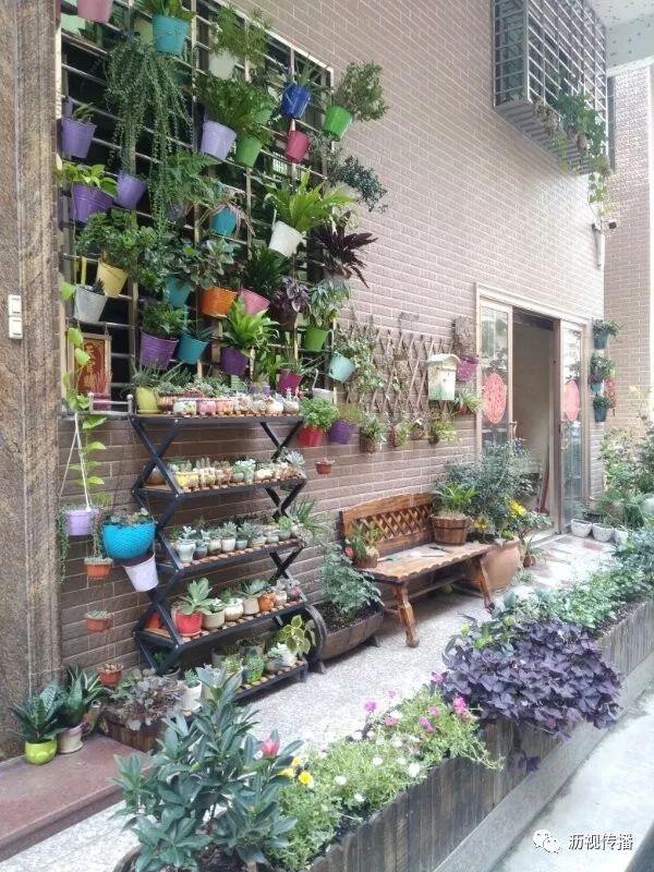 最美庭院评选,寻找最漂亮的花园小院