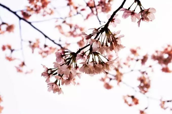 晚潮诗句,晚潮的古诗词