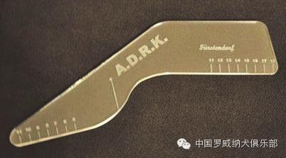 罗威纳FCI性格标准,纯种罗威纳犬的智商排名