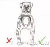 罗威纳FCI性格标准,纯种罗威纳犬的智商排名