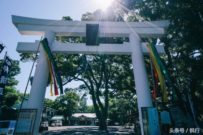 熊本一日游你有哪些攻略,熊本县一日游超全攻略