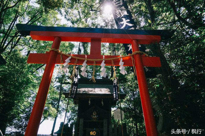 到熊本旅行自由行攻略,到熊本旅游自由行路线