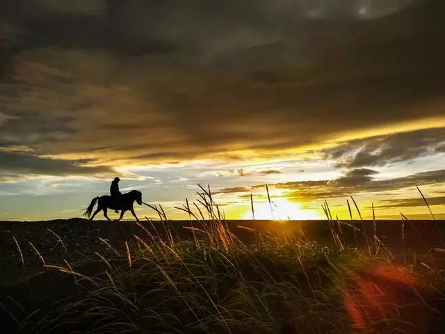 单反相机和手机摄影有什么区别,摄影初学者适合买什么单反相机