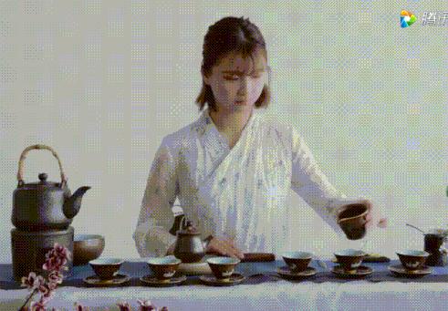 白茶长了白毛是什么霉,白茶长霉点了怎么办