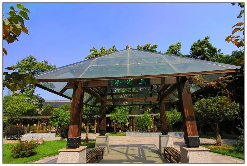 再见合肥师范完整视频,合肥二中校园