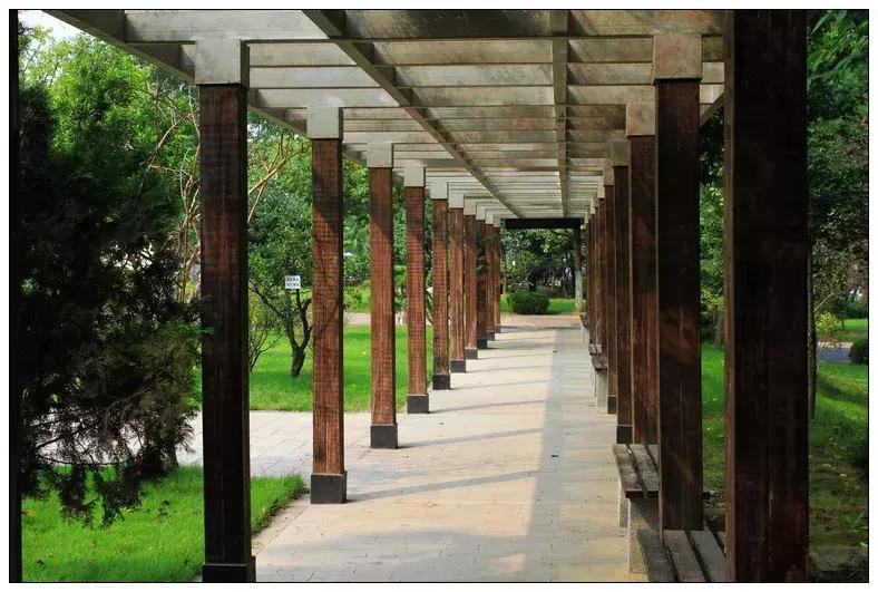 再见合肥师范完整视频,合肥二中校园