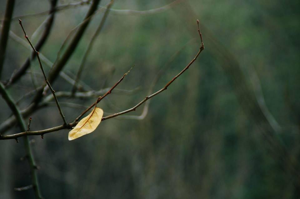 朱敦儒最有名的名句含义,朱敦儒经典诗词鹧鸪天