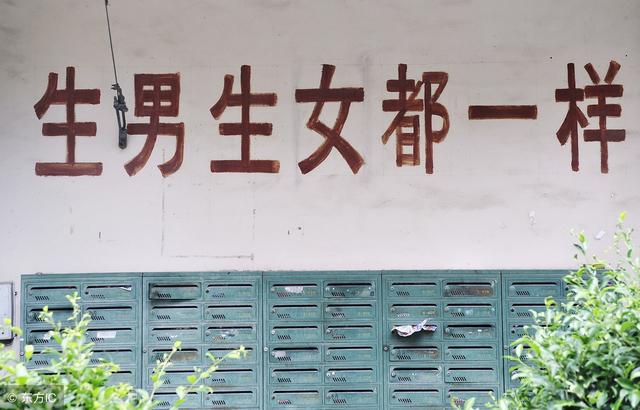 生男生女男人怎么饮食,生男生女该怎么吃