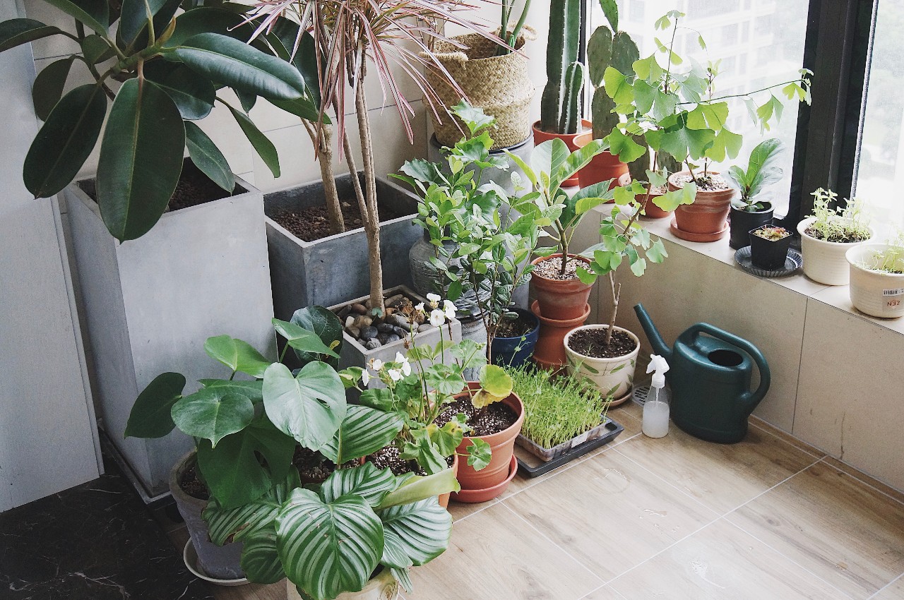 马赛克轻奢家庭装修,小清新北欧风装修