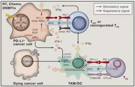 应对当前病毒的药,治疗乙肝病毒的药物有哪些