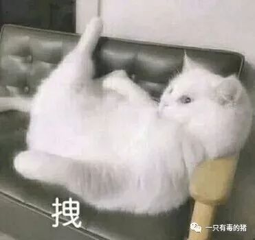 市面上卖的海关查扣物品是真的吗,海关查扣类商品是什么情况