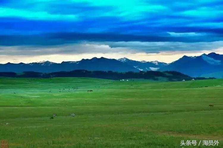 与我们此生的甜蜜如初:库什台野*党**参花蜂蜜