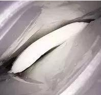 fresh白松露面膜拔草,微商轻奢面膜推荐哪款好用