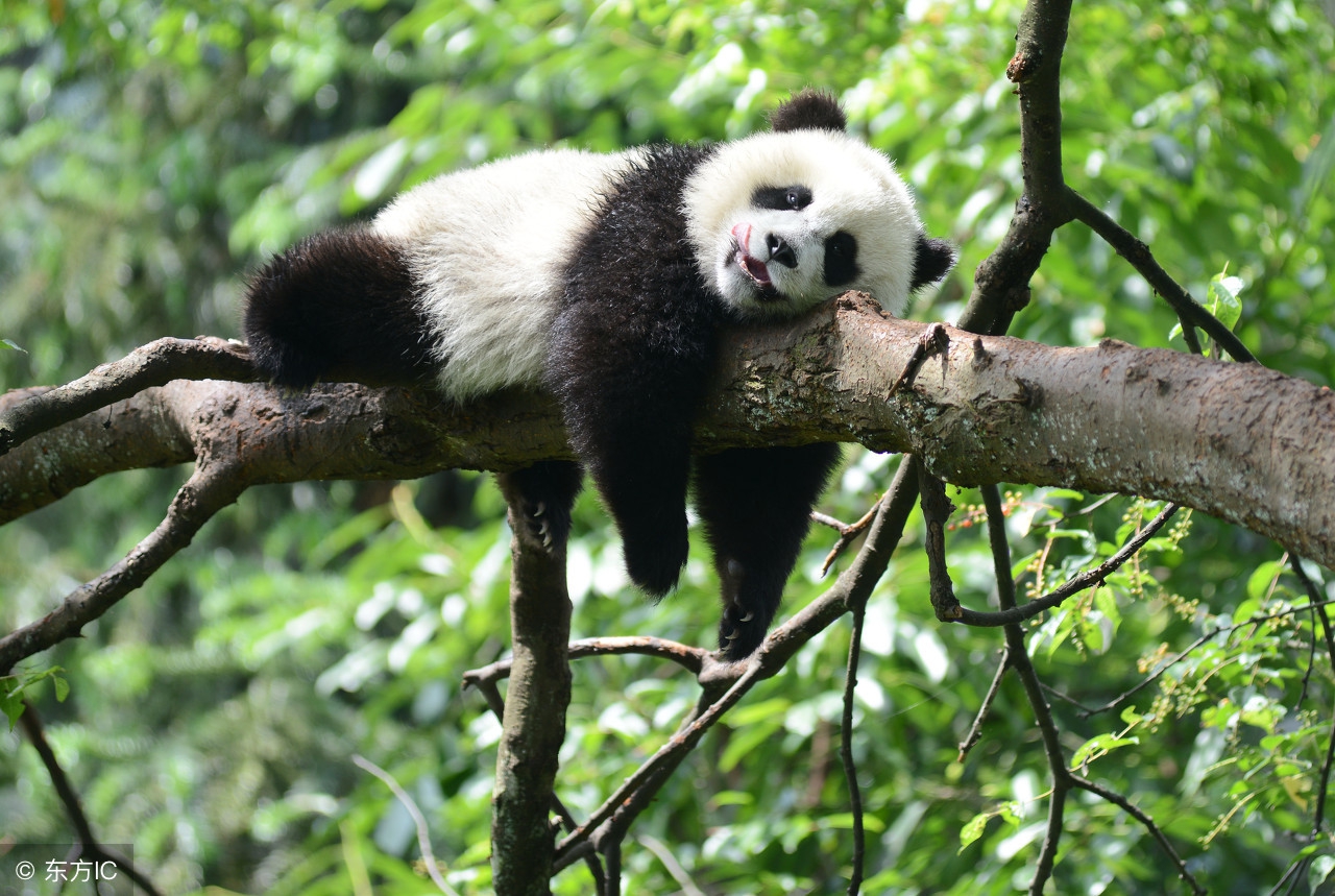 吐槽大会无聊且枯燥,吐槽大会不想上班主题