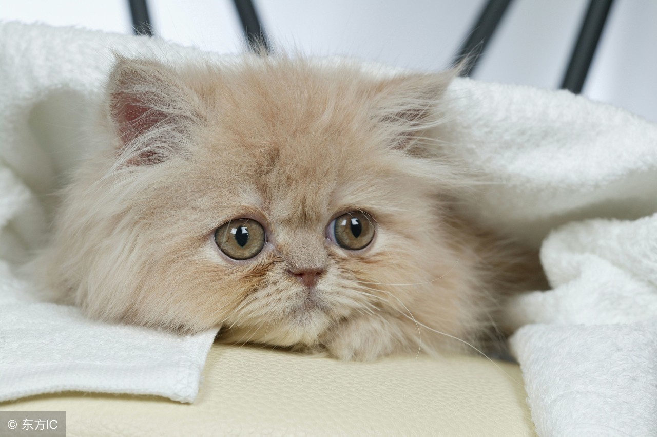 吐槽大会无聊且枯燥,吐槽大会不想上班主题